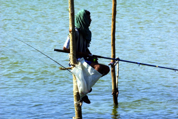 Sri Lanka Fisherman