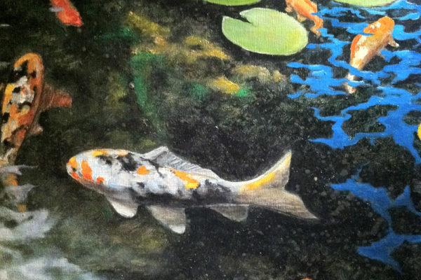 Courtney Koi Pond