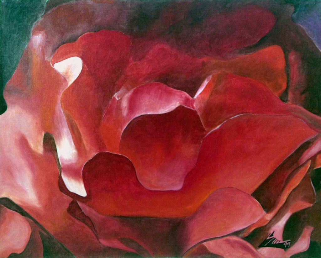 Red Rose