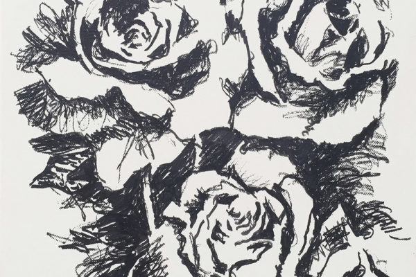 Roses Sketch