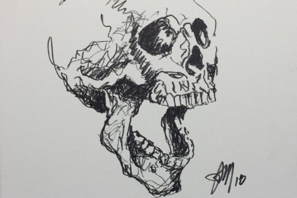 Skull